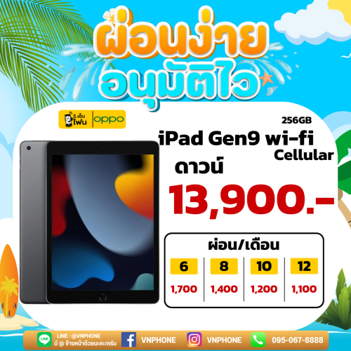 iPad Wi-Fi + cellular 256GB